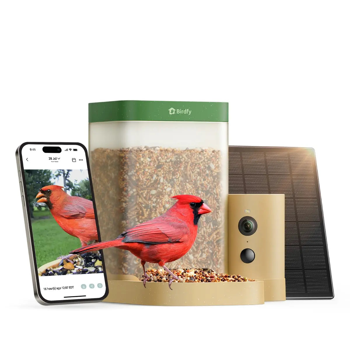 Birdfy Smart Bird Feeder with Camera for Rookie, Camera Bird Feeder Dual Night Vision, AI Recognition IP66 Waterproof for Birdlovers