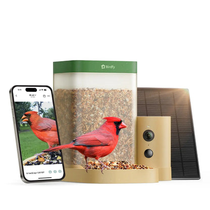 Birdfy Smart Bird Feeder with Camera for Rookie, Camera Bird Feeder Dual Night Vision, AI Recognition IP66 Waterproof for Birdlovers
