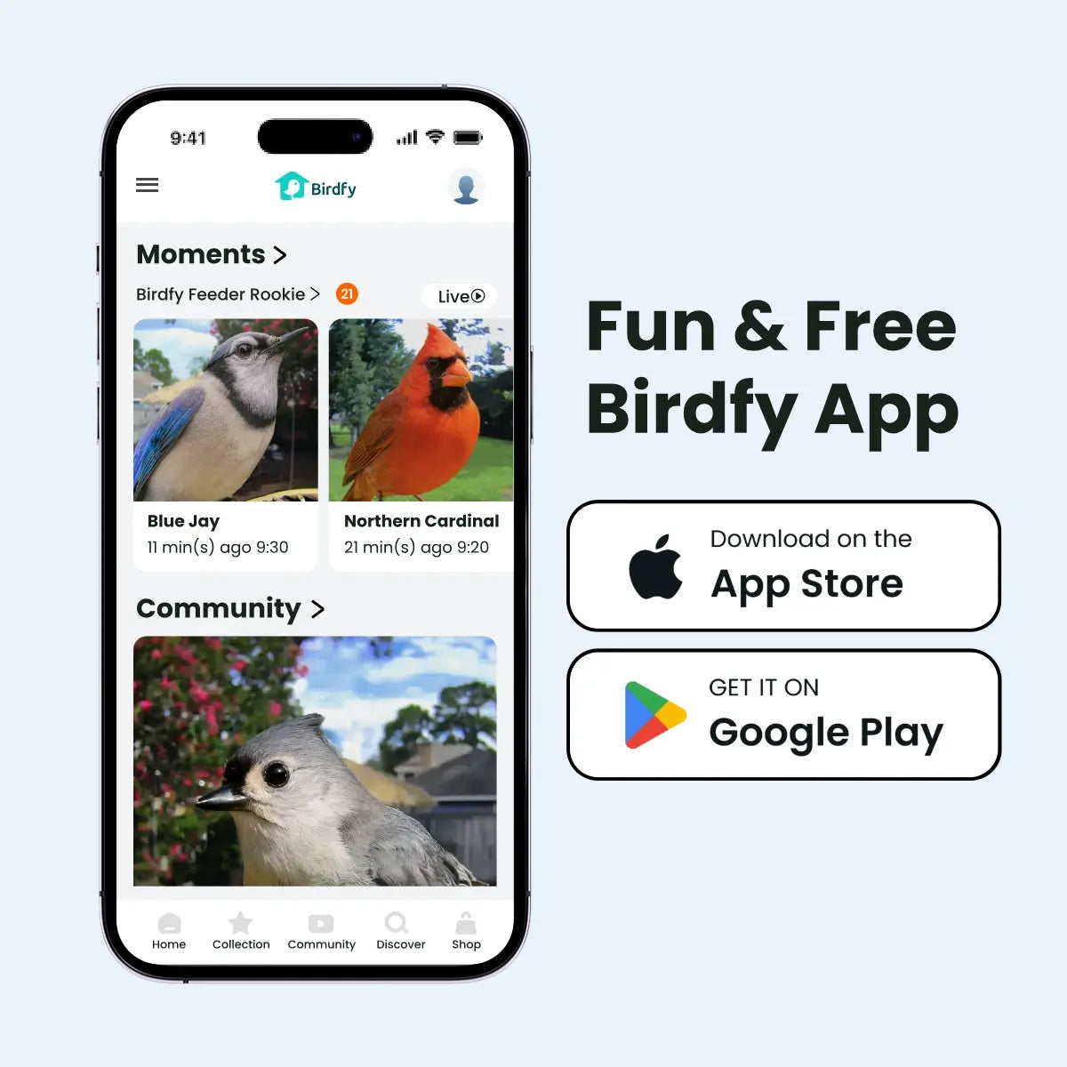 Birdfy Smart Bird Feeder with Camera for Rookie, Camera Bird Feeder Dual Night Vision, AI Recognition IP66 Waterproof for Birdlovers