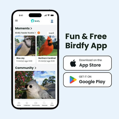 Birdfy Smart Bird Feeder with Camera for Rookie, Camera Bird Feeder Dual Night Vision, AI Recognition IP66 Waterproof for Birdlovers