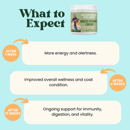 Multi-Vitamin Chews | Energy + Defense