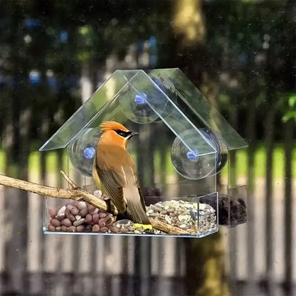 Transparent Suction Cup Bird Feeder - Clear Acrylic Bird Feeder with Suction Cups – Window Bird Feeder for Outdoor Bird Watching