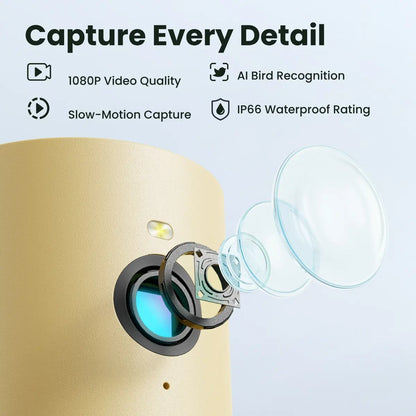 Birdfy Smart Bird Feeder with Camera for Rookie, Camera Bird Feeder Dual Night Vision, AI Recognition IP66 Waterproof for Birdlovers