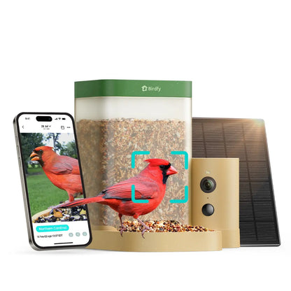 Birdfy Smart Bird Feeder with Camera for Rookie, Camera Bird Feeder Dual Night Vision, AI Recognition IP66 Waterproof for Birdlovers